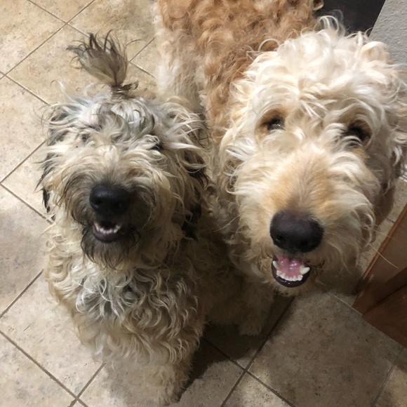 Meet your Posher, Heather - Picture 5 of 8